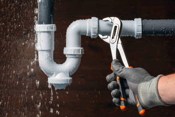 Professional Plumbing technician working in Chapin, IL